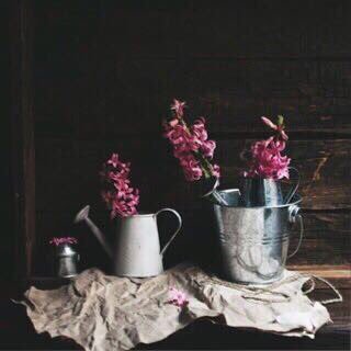 hlwa991's profile picture. ♡ ♡