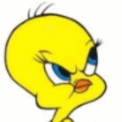 Tweety Bird is a good old fashioned ole timer who knows we are all in this together. We should try to get along and even agree to disagree Everyone Matters 💙❤️