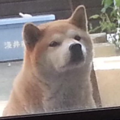 373oppa's profile picture. TAKE OUT THE FIRE but LEAVES IN THE WARMTH