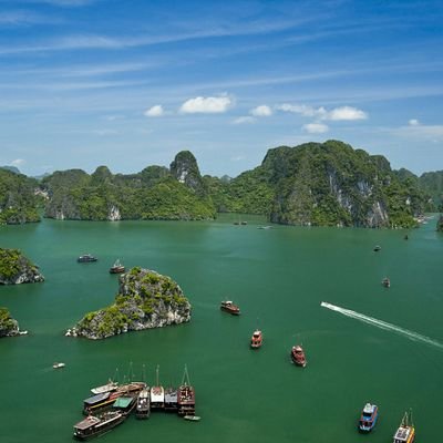 himawari_on's profile picture. 平和厨