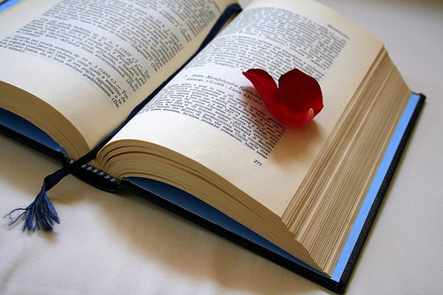 meganrecords's profile picture. Freelance book editor. Expert overthinker. Enthusiastic living-room dancer. #revpit She/her. Work with me: https://t.co/me5HQ2MC9X