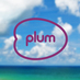 Plum TV-Miami Beach (@plummiami) Twitter profile photo