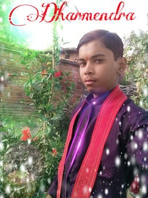 Dharmen81202411's profile picture. Dharmendra