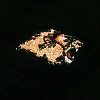 OC Lions Softball (@oaks_softball) 's Twitter Profile Photo OC Lions Softball (@oaks_softball) 's Twitter Profile Photo