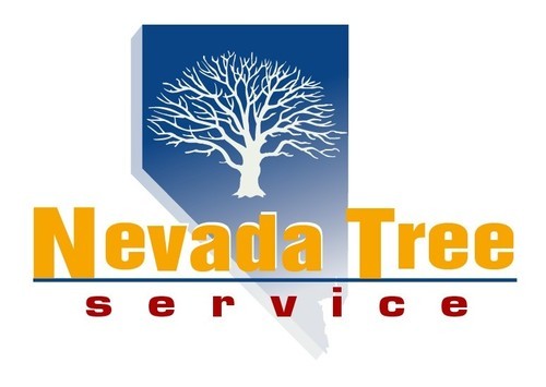 Nevada Tree Service began as a company in 1969 & provides quality tree care to Las Vegas including disease prevention, tree pruning, tree trimming & more!