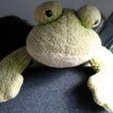 Denise Talbert - @duh_knees - Twitter