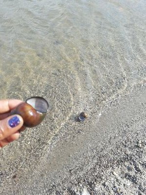 thecagedbird7's profile picture. Follow me and get to know me 😘