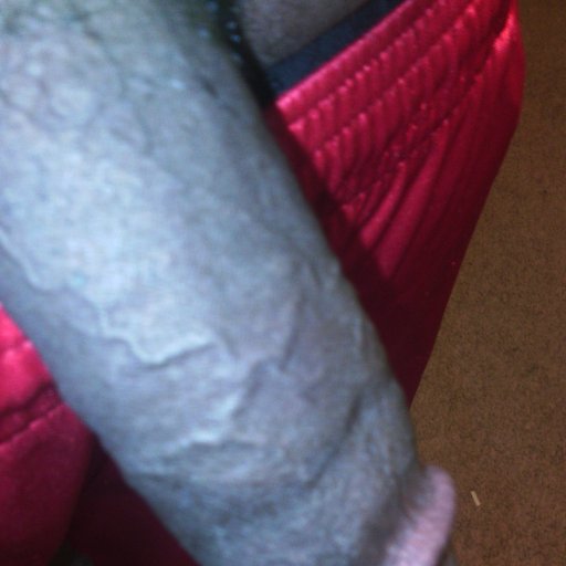 brandonw7544's profile picture. 