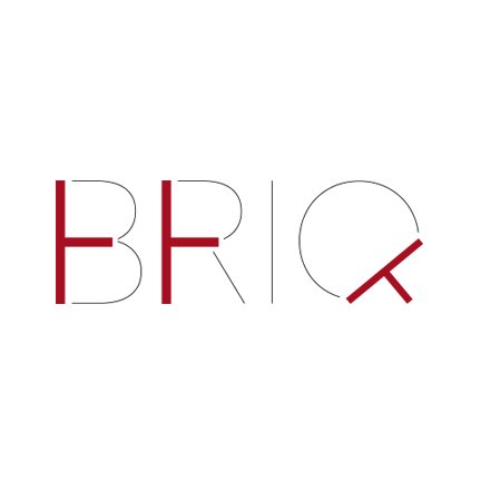 BriQ est un module qui se multiplie pour créer dès cloisons ou des décorations murales. Disponible sur Kickstarter en Avril!!!