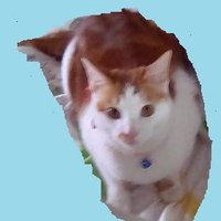 Melodyqiwen (@melodygeert) Twitter profile photo