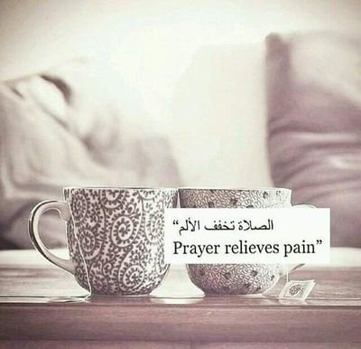 jamedar_sameena's profile picture. Humanitarian