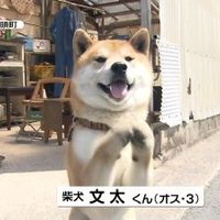 ToshI@ライズ乗り⊿P.T.A会員、PLASMA仙台②参戦 (@leopard811104) 's Twitter Profile