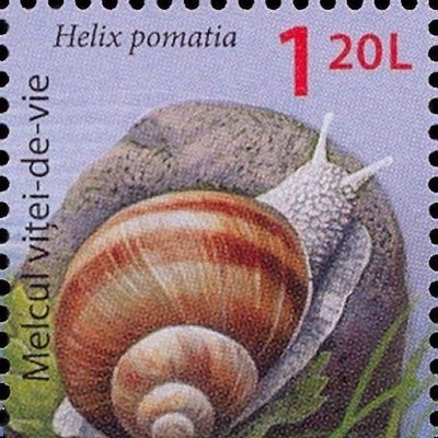 I am a snail blogger, researcher, and hobbyist.  You can view my blogs at: https://t.co/9dAdiOenpq https://t.co/TPZq8iL1Zp