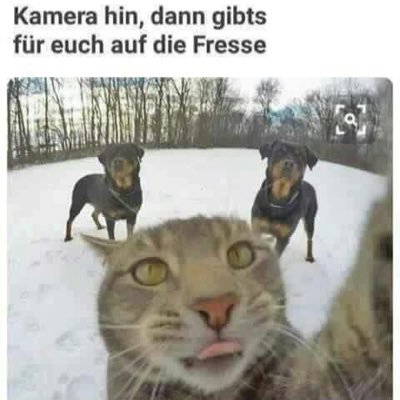 marcosio80's profile picture. Internet Marketing.