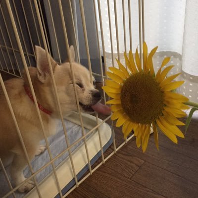 alohaoe526's profile picture. 