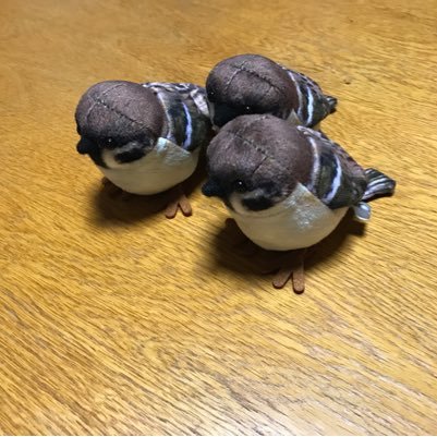 ポチさんのプロフィール画像