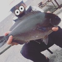 まさじろう (@kuroisojiro) Twitter profile photo