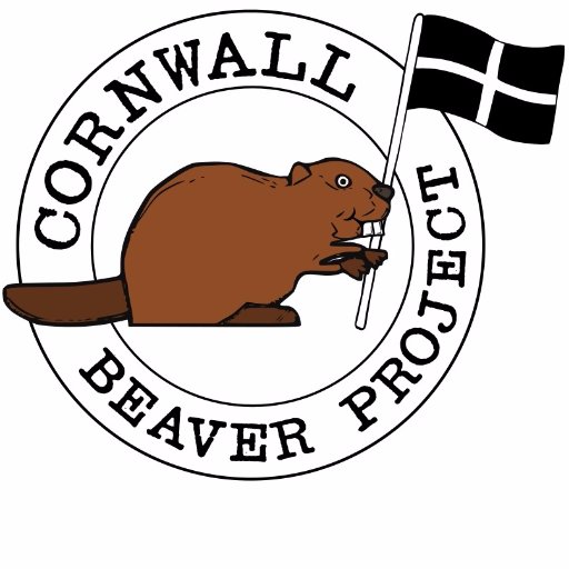 The Cornwall Beaver Project, bringing beavers back to Cornwall for the first time in 400 years. A partnership project of @Cwallwildlife & @Woodland_Valley.