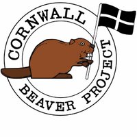 Cornwall Beaver (@cornwallbeaver) 's Twitter Profile