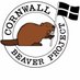 Cornwall Beaver (@CornwallBeaver) Twitter profile photo