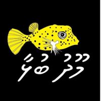 MoodhubulhaaDive (@moodhu_bulhaa) 's Twitter Profile