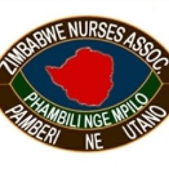 zimnurses's profile picture. 