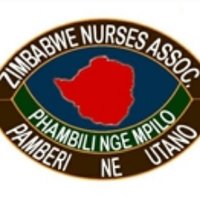 Zimbabwe Nurses (@zimnurses) 's Twitter Profile