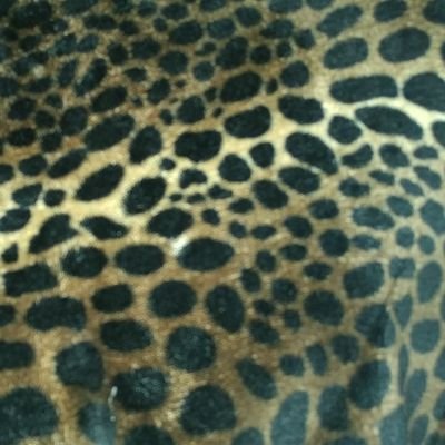 marymo1966's profile picture. 