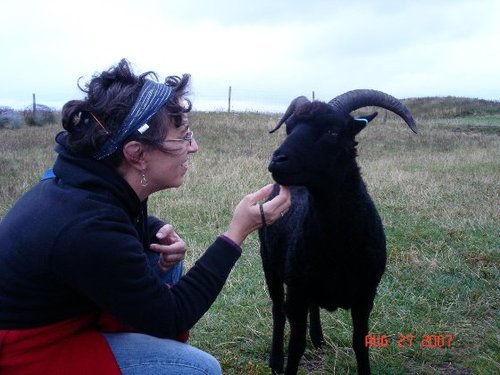Fiber farmer in upstate NY. Angora (mohair) and cashmere goats, alpaca. Roving, yarn, finished goods.