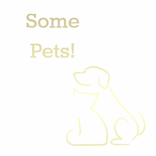 Some Pets is a pet and animal blog owned by Carleen Coulter-Secretary to two little dogs with no tails. https://t.co/kePAoyLkD7