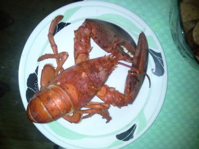 localbeefstu's profile picture. I am no one. Into nothing. Lobsters, clamcakes n chowda, coffee milk, and bakery pizza.....Breakfast of Champions. Now u know.