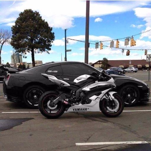 wolfman86895342's profile picture. you follow me i follow you