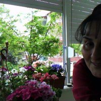 zeynep barutçuoğlu (@zeynep957) 's Twitter Profile