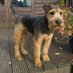 Phil Mellor (@phil56915412) Twitter profile photo Phil Mellor (@phil56915412) Twitter profile photo