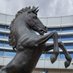 Mustangs of BVN (@mustangsofbvn) Twitter profile photo Mustangs of BVN (@mustangsofbvn) Twitter profile photo
