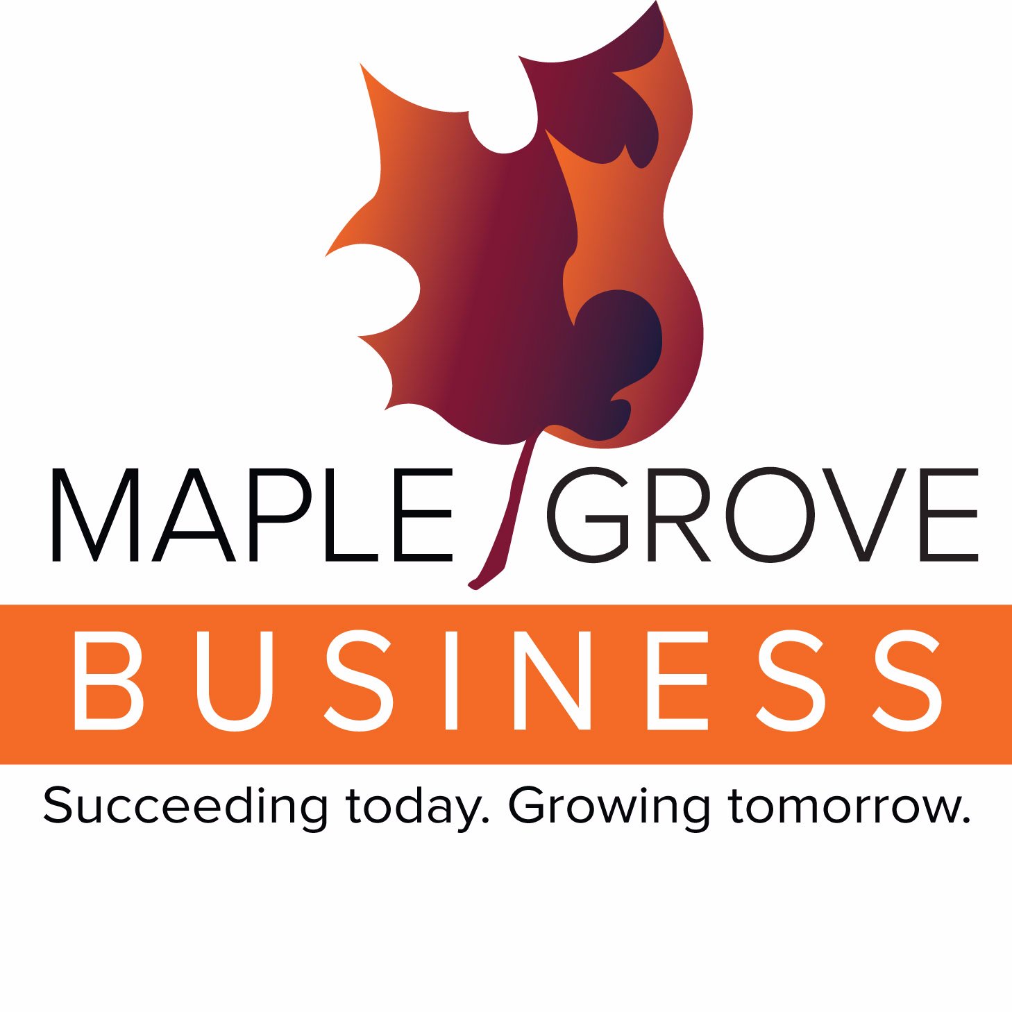 Maple Grove MN Biz