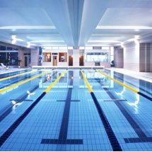 東北大学水泳同好会17新歓 Swimswimtohoku のツイプロ 東北大学水泳同好会17新歓 Swimswimtohoku のツイプロ