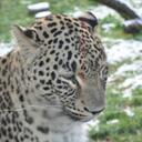 daniel visscher - @nikonboy007 - Twitter