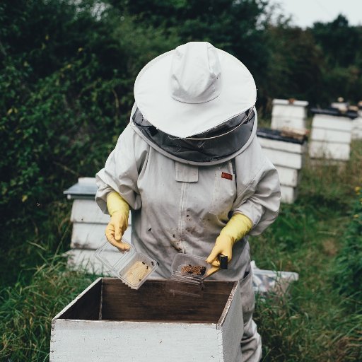 We offer #raw, #natural, #uber #localhoney, #beekeeping #classes and #workshops, one-on-one #consulting, a #hostahive programs in NC