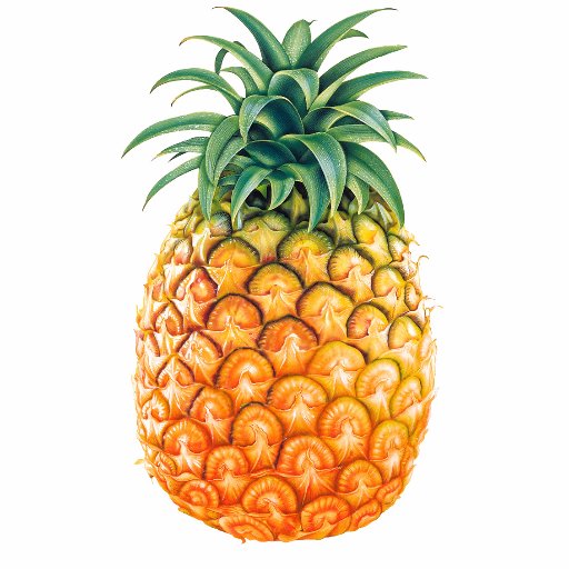 _ThePineapple_1's profile picture. Do pineapples tweet fire? This one does. Follow for follow. DM your fire tweets.