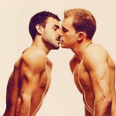 GaysStatus's profile picture. 