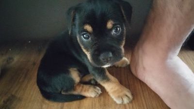 trader19941's profile picture. 