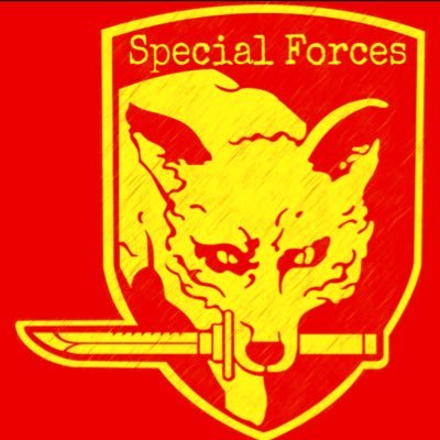 SpecialForcesFc's profile picture. نادي برو كلوب / تأسس عام 2017م #SpecialForces 🔥