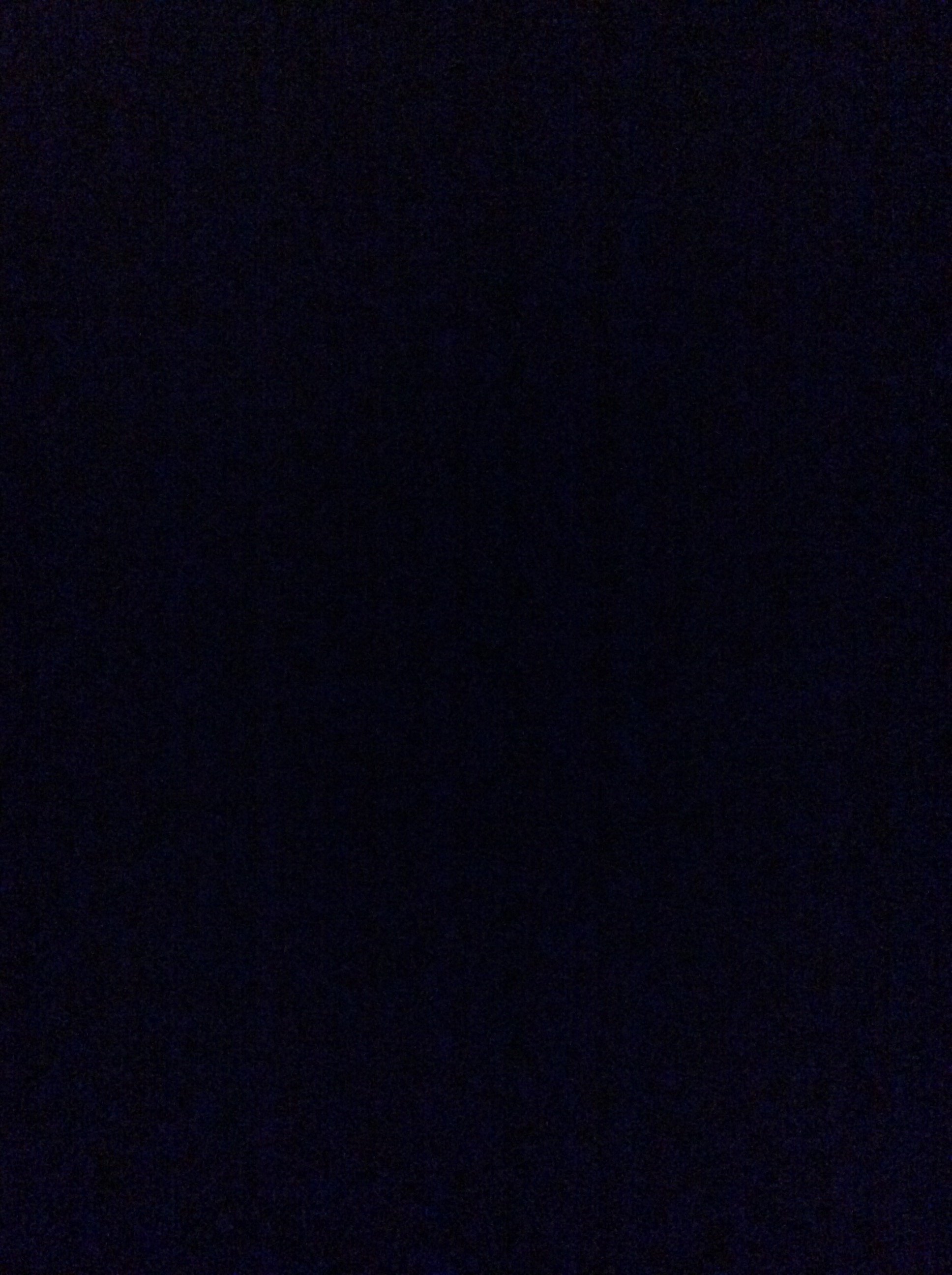 mewo3791's profile picture. 