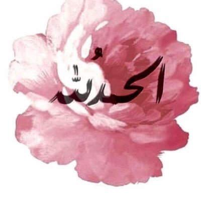 hadool_1's profile picture. 