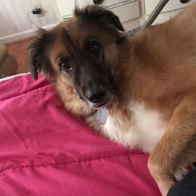 suefozzle's profile picture. 