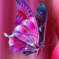 Wife, Mother, Animal Lover.
I love positive people, laughter and finding joy everyday..
Follow me and I will Follow you ! No DM'S.
