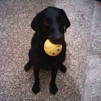 Kevin (not Kev) Edmond Skinner (Anglo-Norman) (@kevineskinner) 's Twitter Profile Photo Kevin (not Kev) Edmond Skinner (Anglo-Norman) (@kevineskinner) 's Twitter Profile Photo