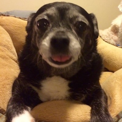 tammyTtweets's profile picture. 