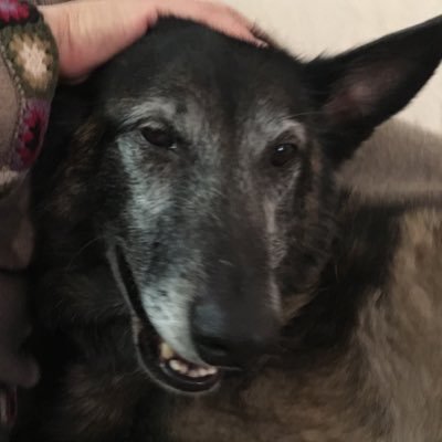 PasticheSmith's profile picture. 